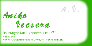 aniko vecsera business card